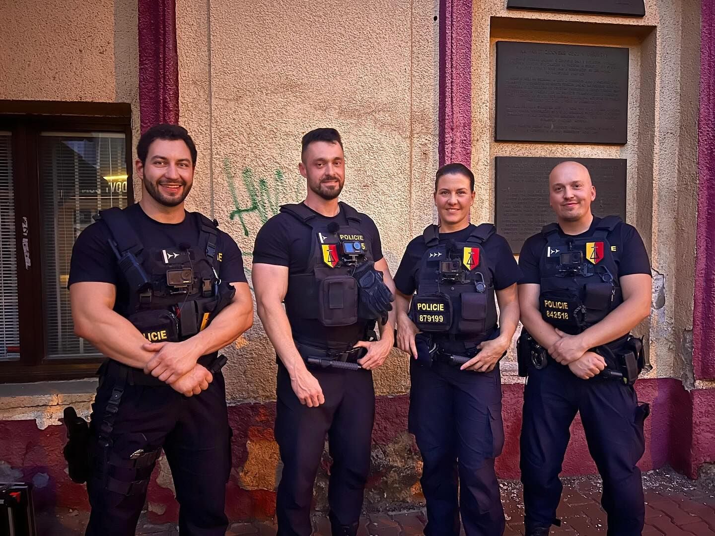 Policie Delta