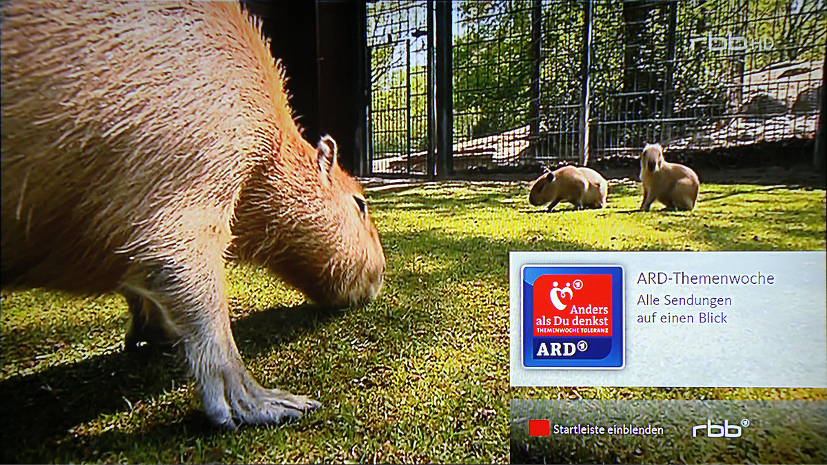 Fotogalerie k přijímači Technisat DIGIT ISIO S2