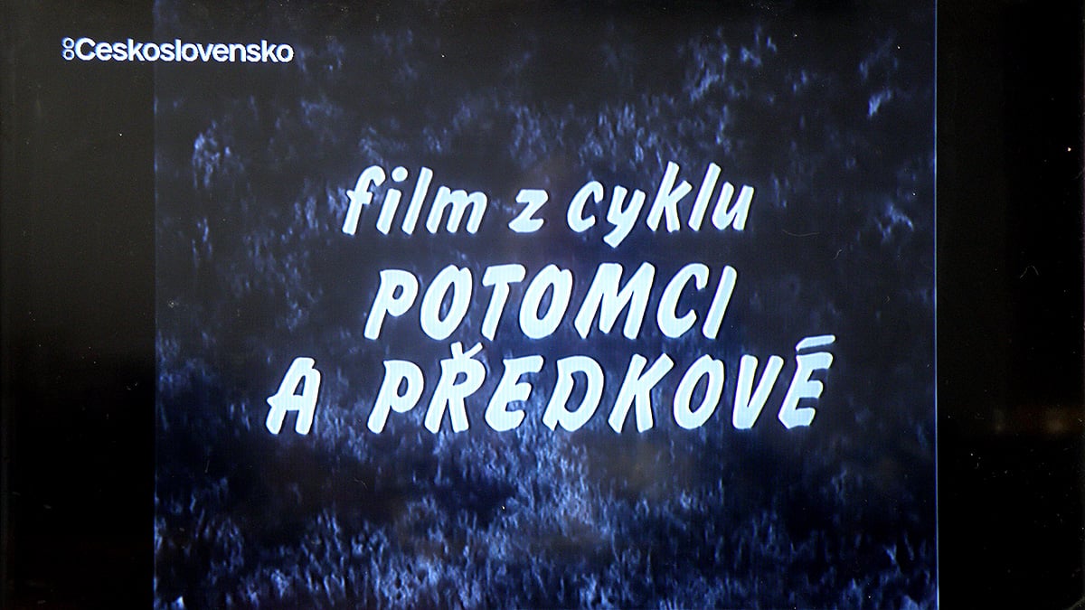 Zahájení vysílání Československo TV HD a Festival HD