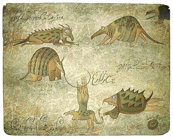 Adolf Born: Z deníku kapitána Cooka.