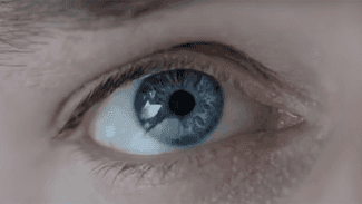 The Eye Tribe