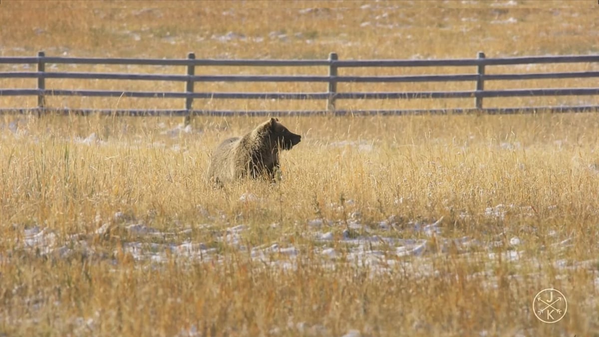 Alfawise H96 Mini - Ukázky přehrávání videosouborů 2/2