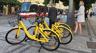 ofo