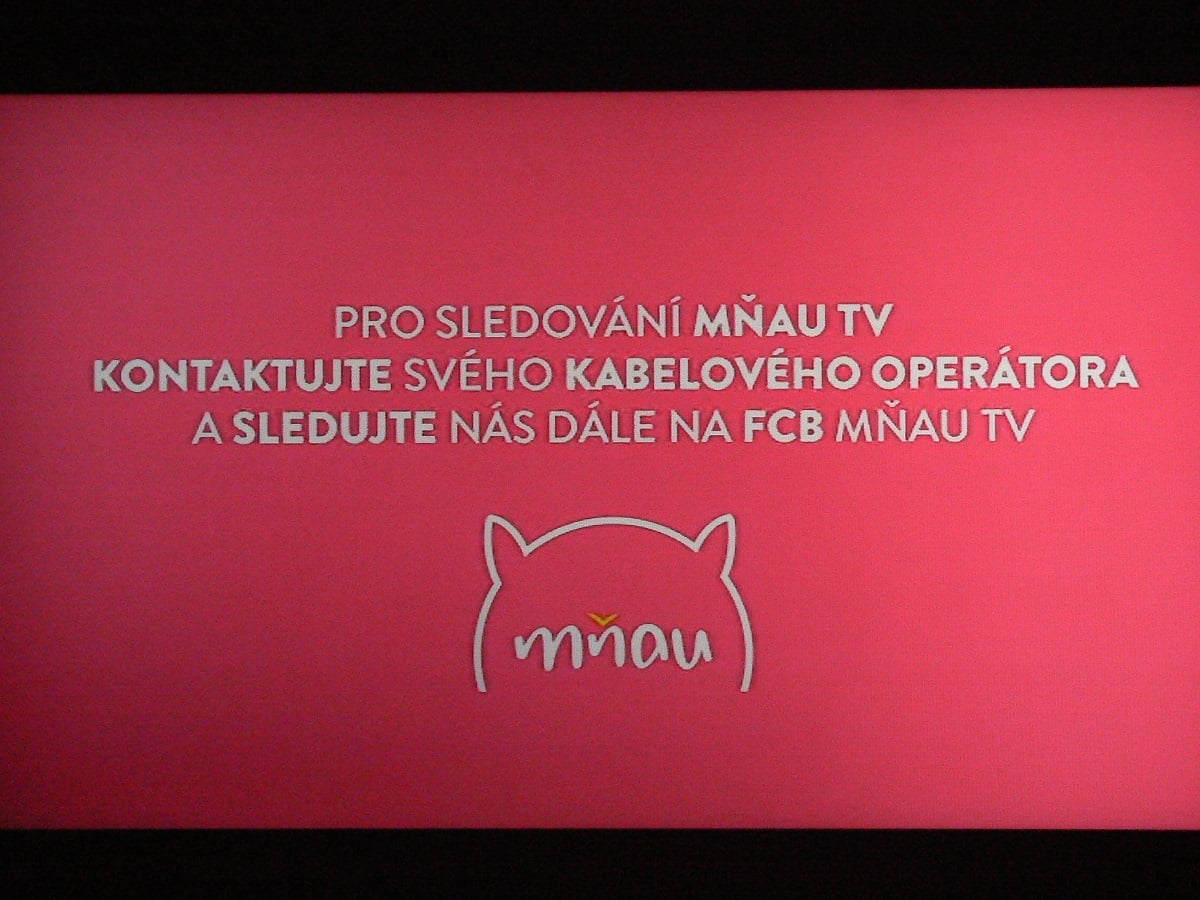 Joj Family a Mňau TV
