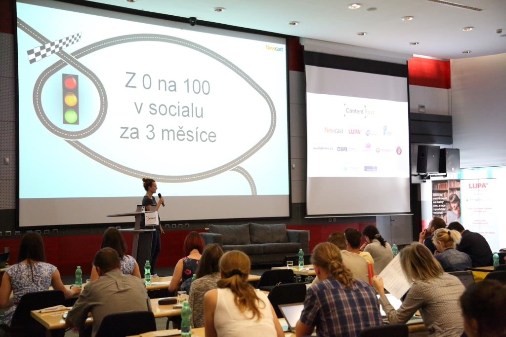 Anna Březinová, Newcast