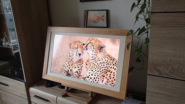 Zapůjčené provedení na živo. Nádhera, co říkáte?