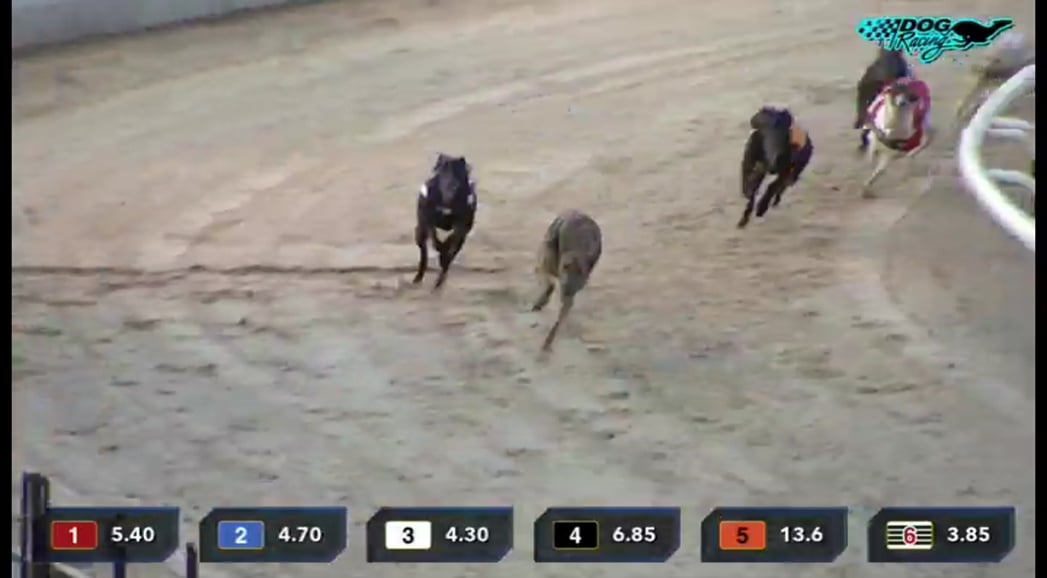 Nové hvězdy na satelitním nebi 25. února až 2. března