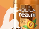 Aquila