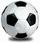Fotbal