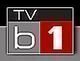 Logo brněnské televize TVb1